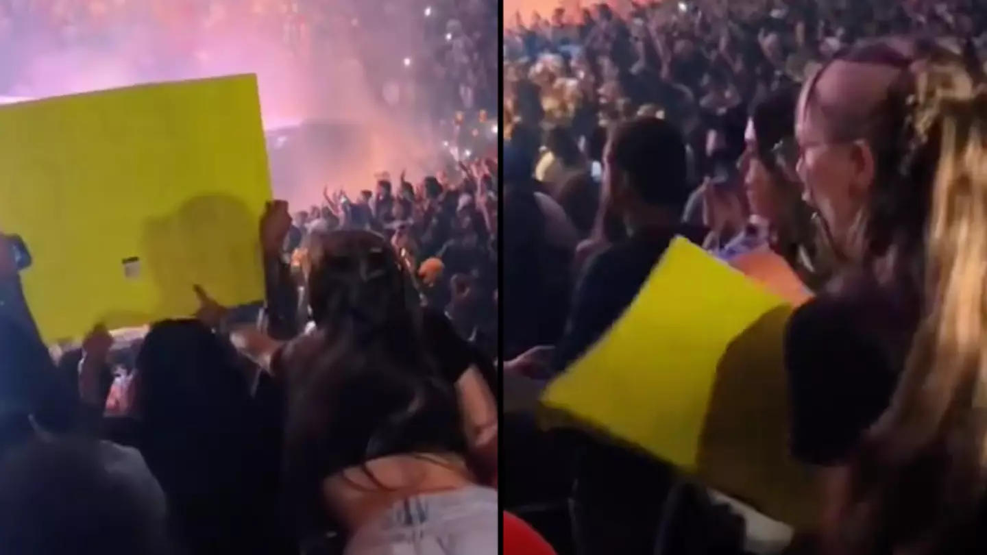 Woman who paid $700 to see Drake rips down sign that was blocking her view