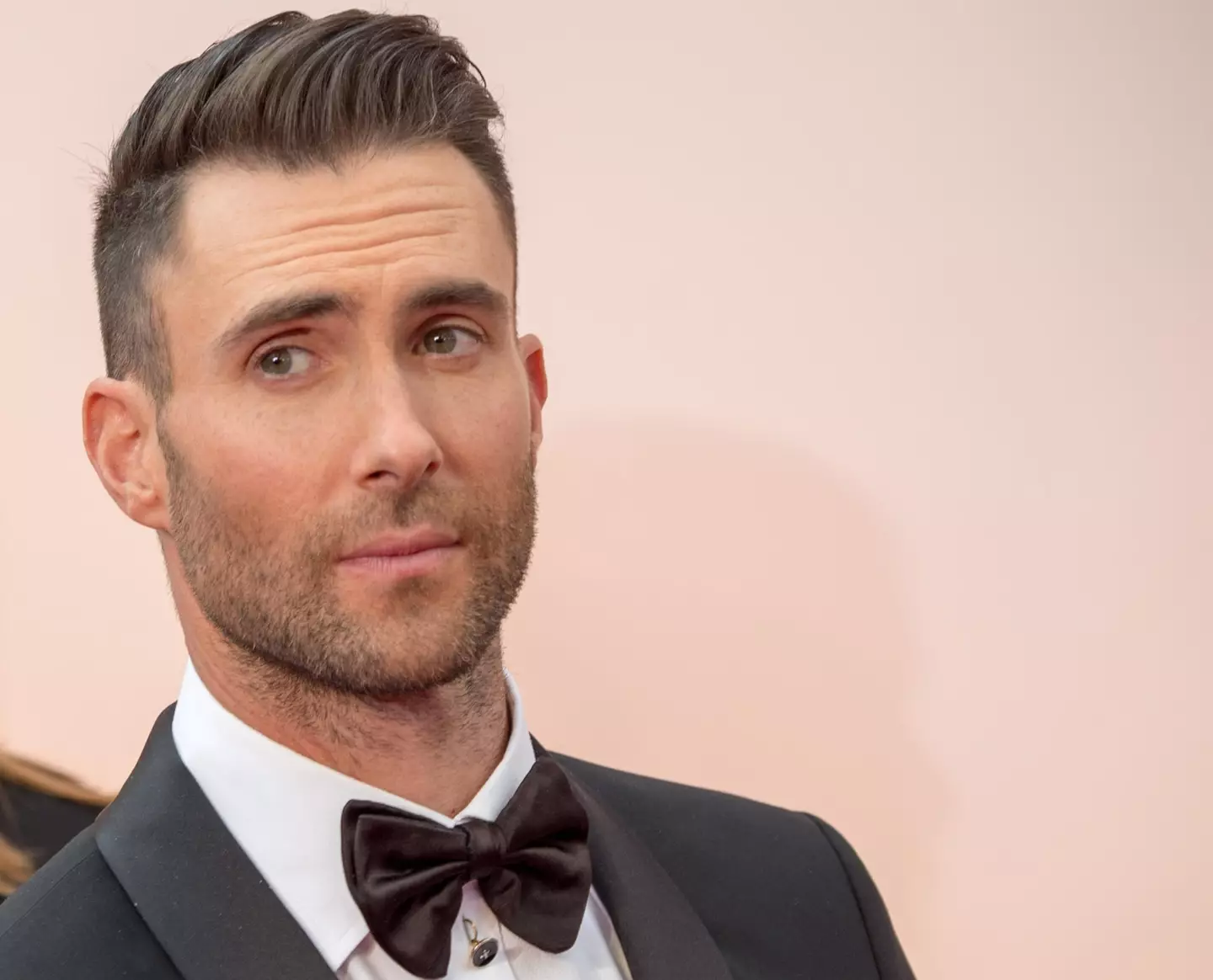 Levine's trust has accused Cole of misrepresentation.