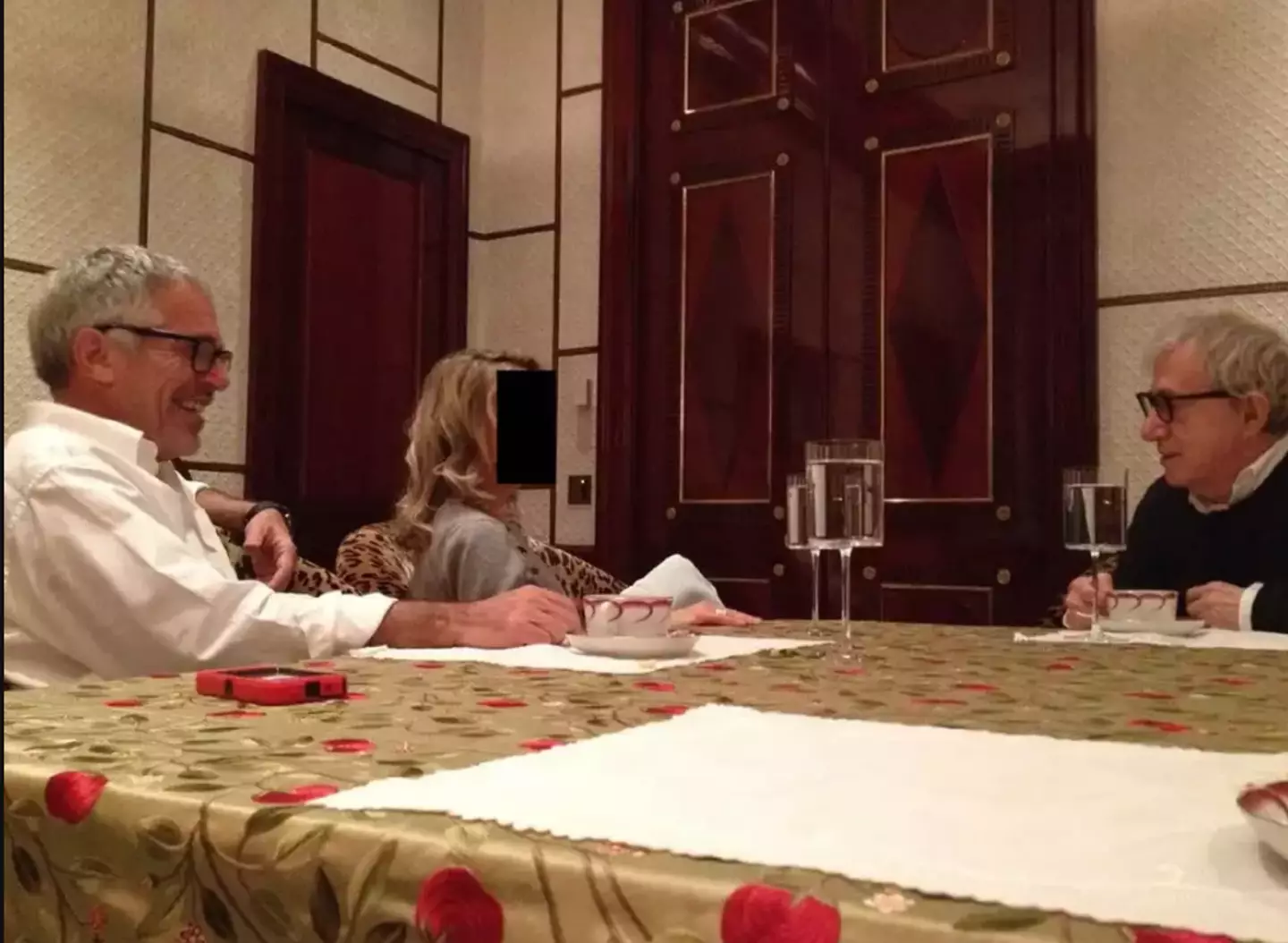 Woody Allen was one of the famous faces pictured alongside Epstein (House Oversight Democrats)