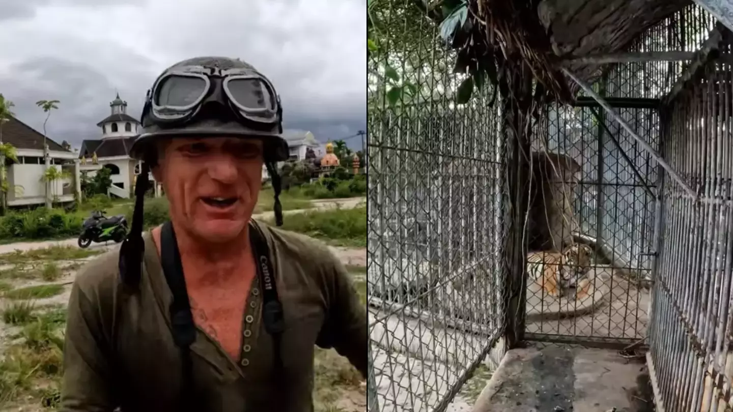 What happened to animals left in abandoned zoo as man left in shock at what he discovered while exploring it