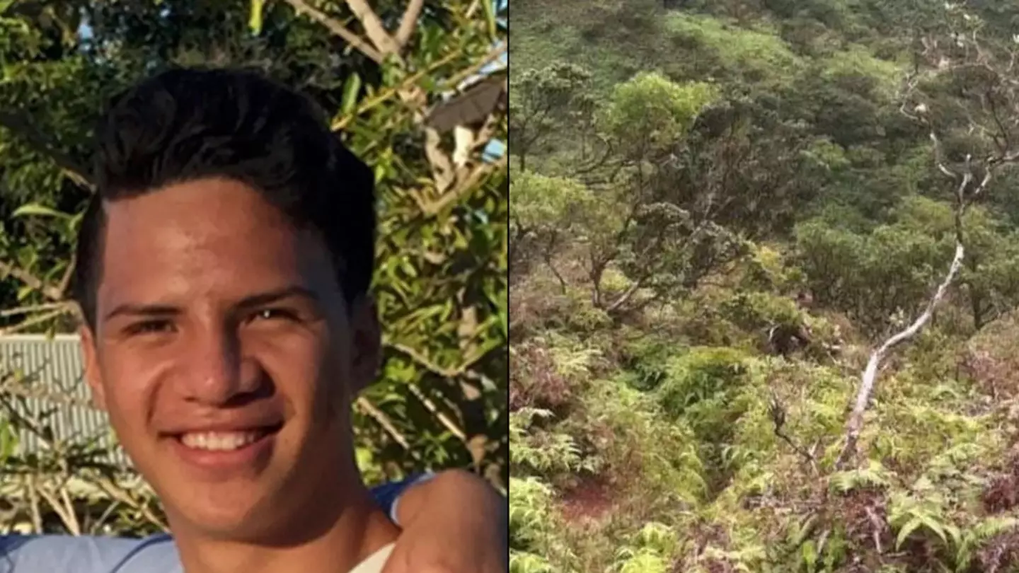 Teenager out on hike sent mysterious photo of 'shadow man' to family and was never seen again