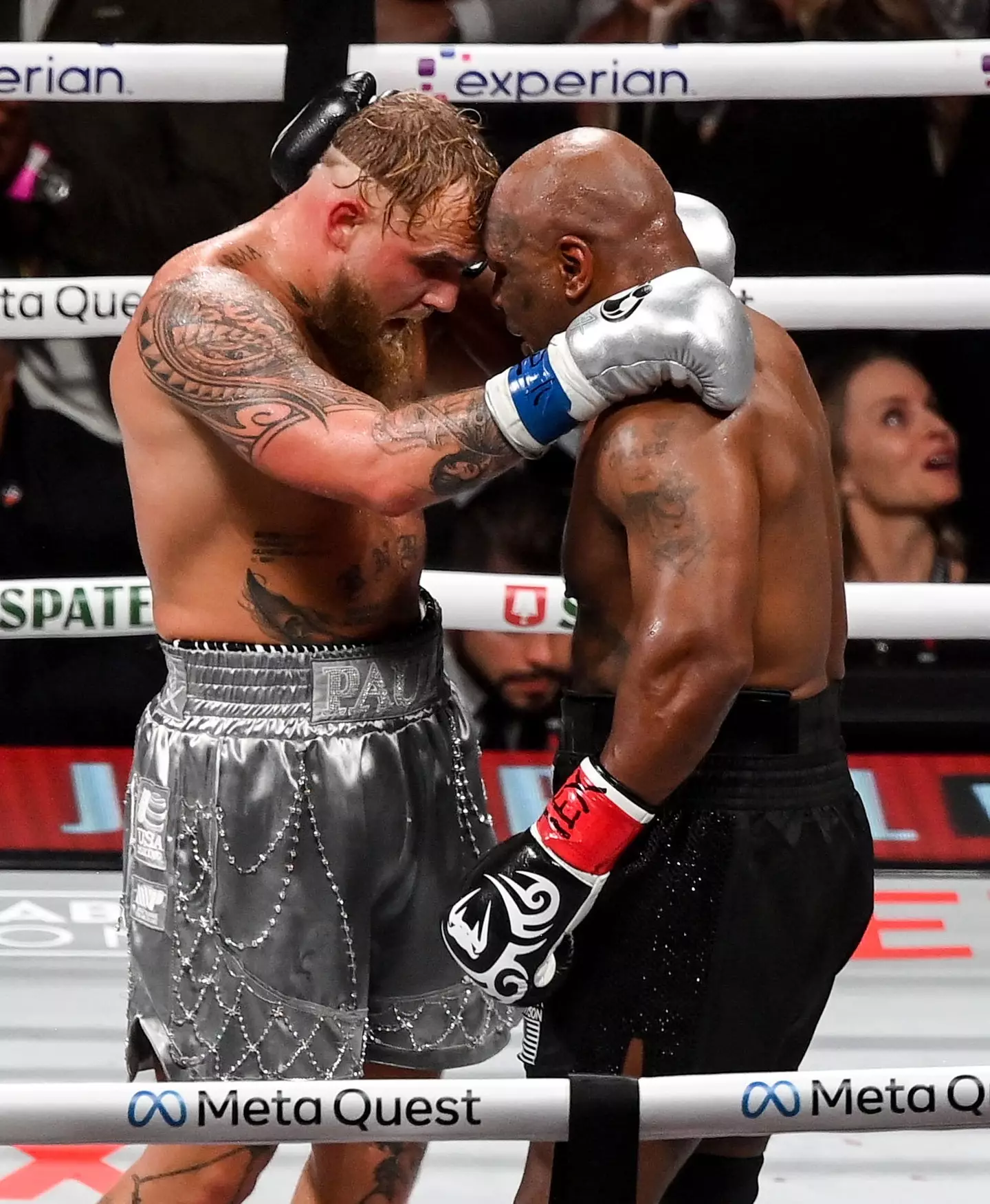 Jake Paul and Mike Tyson faced off (Stephen McCarthy via Getty Images)
