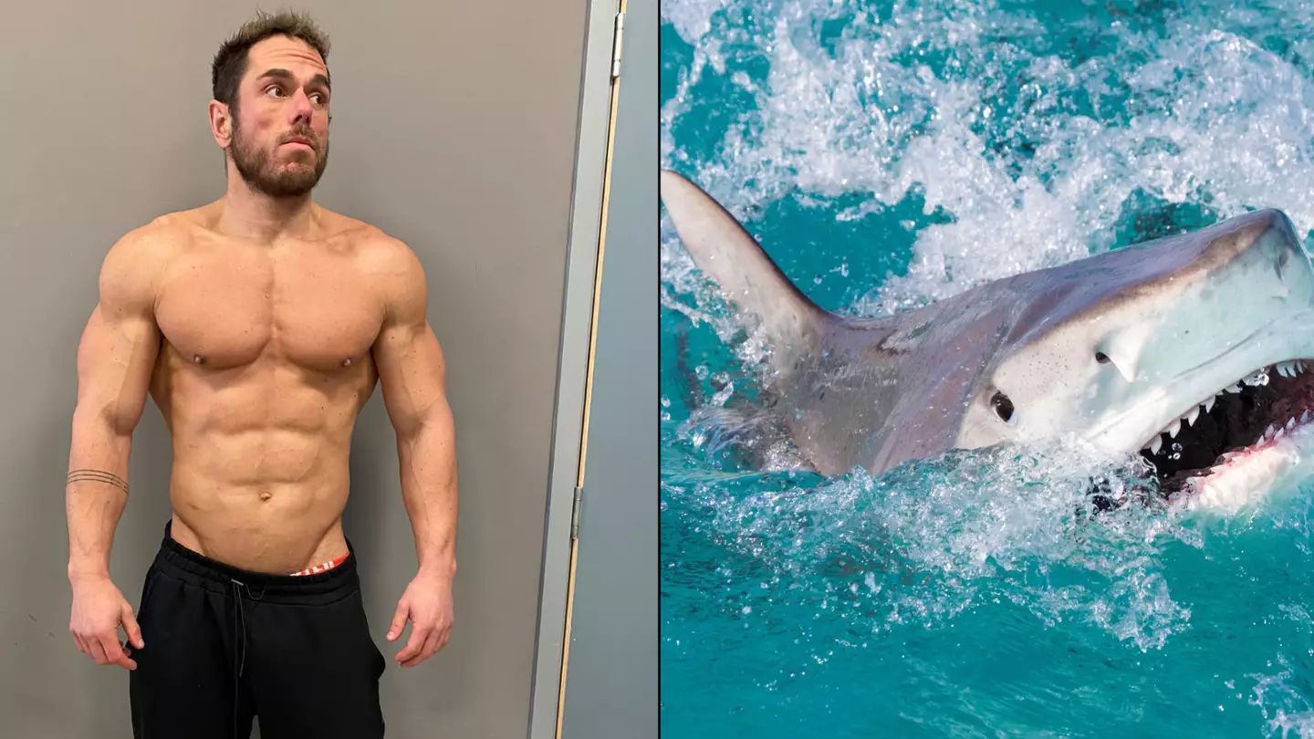 Man takes on 41,000 calorie challenge to eat like a tiger shark and gains 1.5 stone in 24 hours