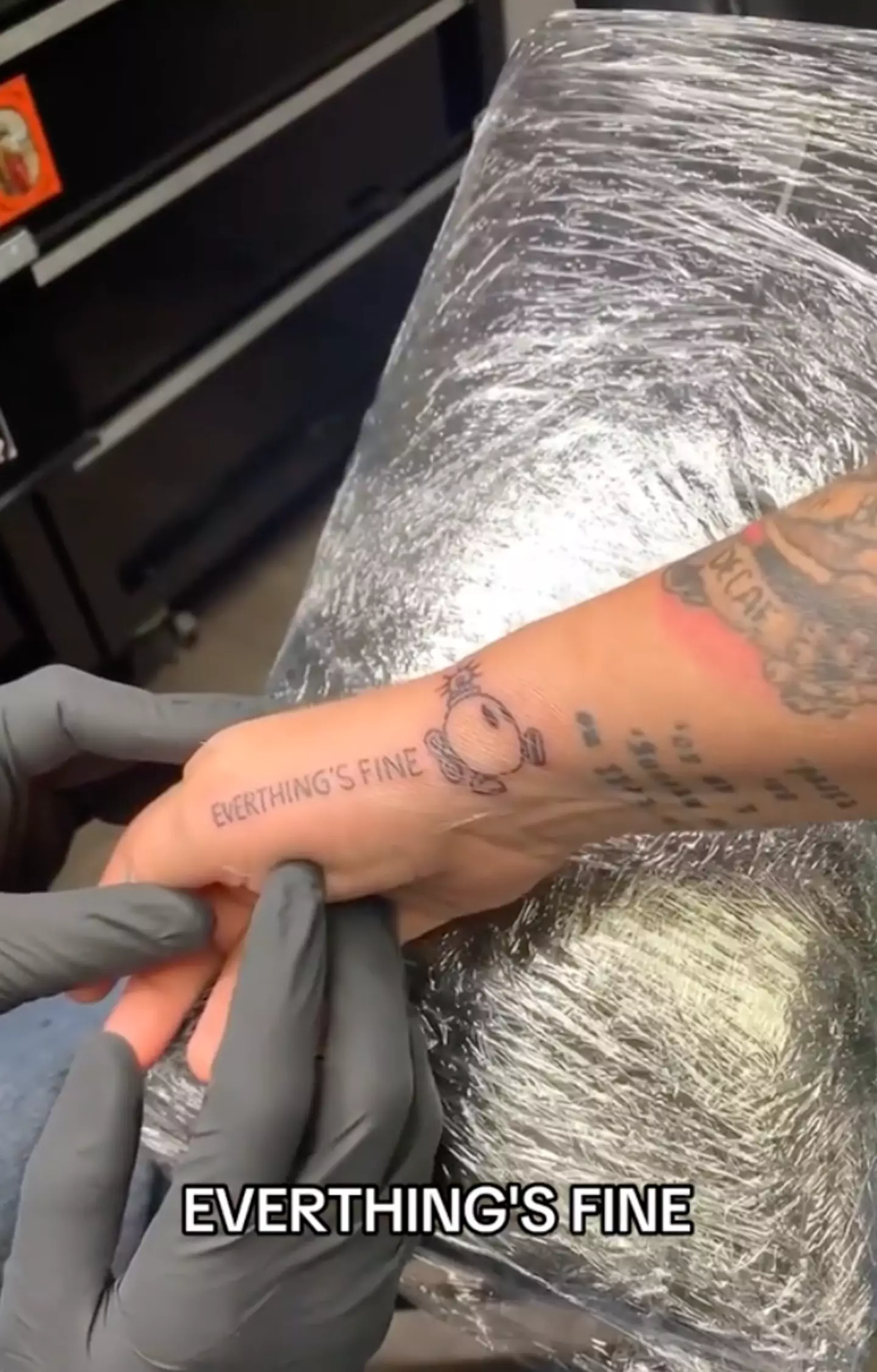 'EVERTHING'S FINE' (TikTok/@theearthylama)
