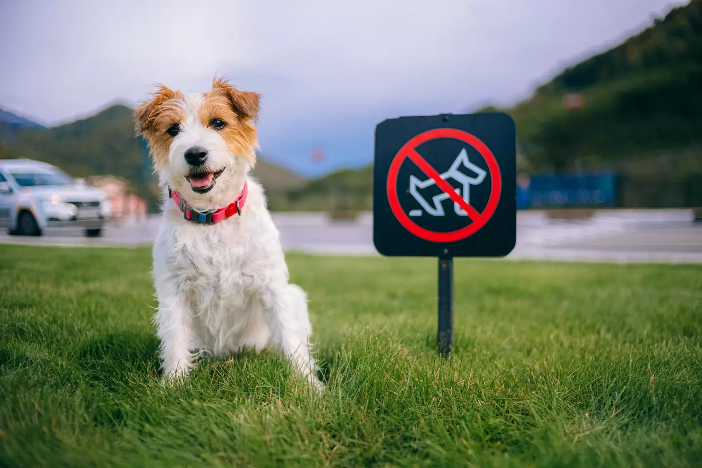 You're better off disposing of their number twos outside (Getty Stock)