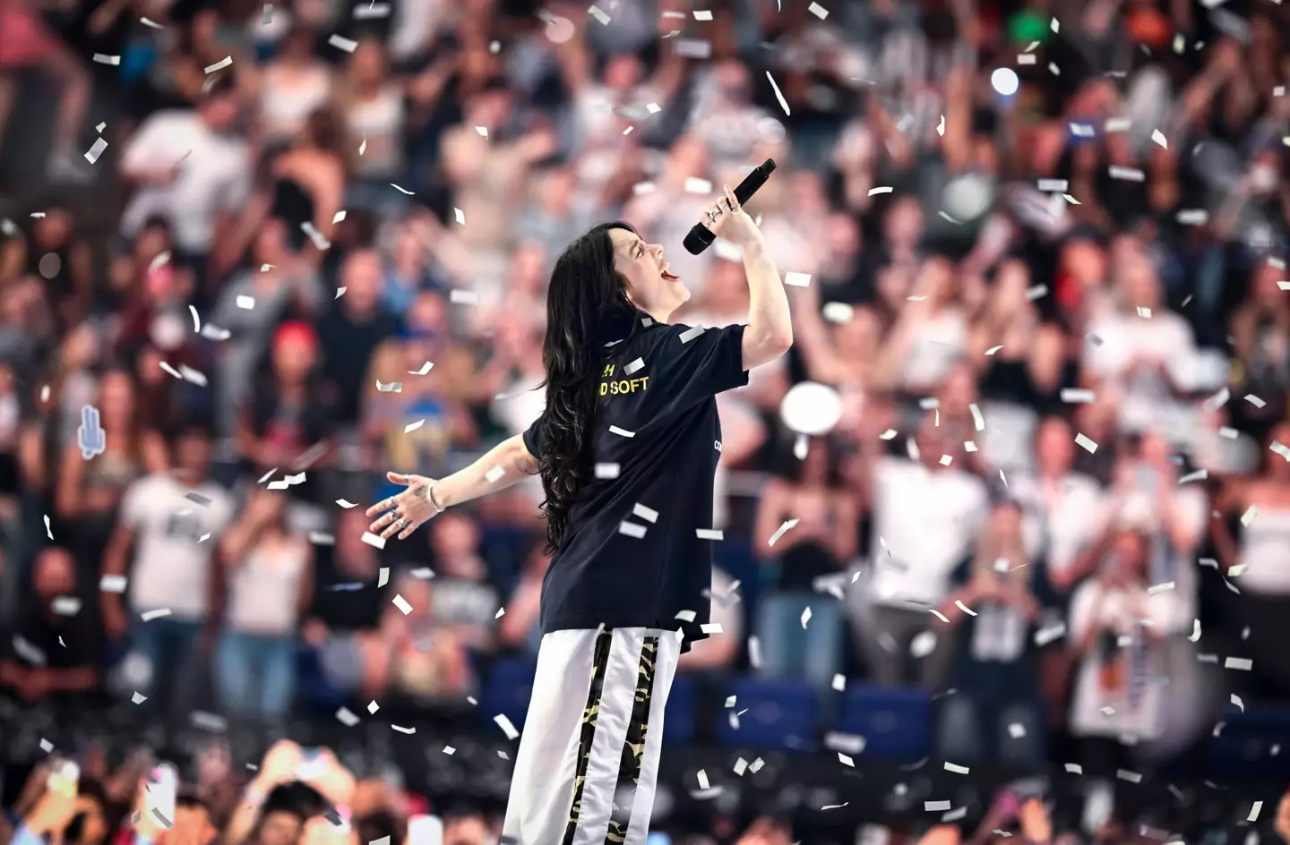 Most of the singer's fans are pretty loyal, with them having followed her since she first emerged on the scene as a teenager (Gareth Cattermole/Getty Images for Live Nation)