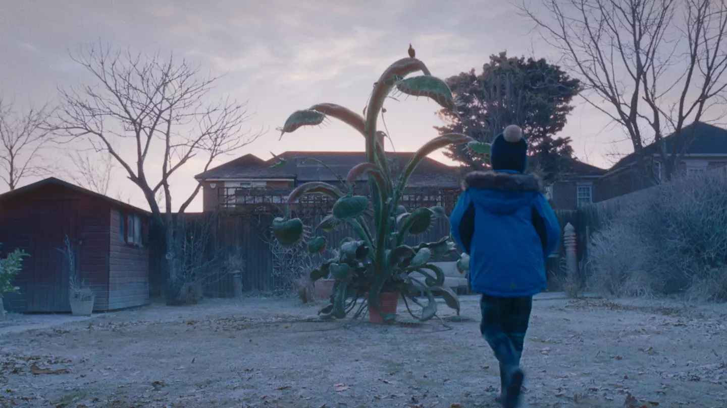 Titled ‘Snapper, The Perfect Tree’, the highly anticipated advert follows a young lad whose grow-your-own Christmas tree turns into a mischievous Venus flytrap.