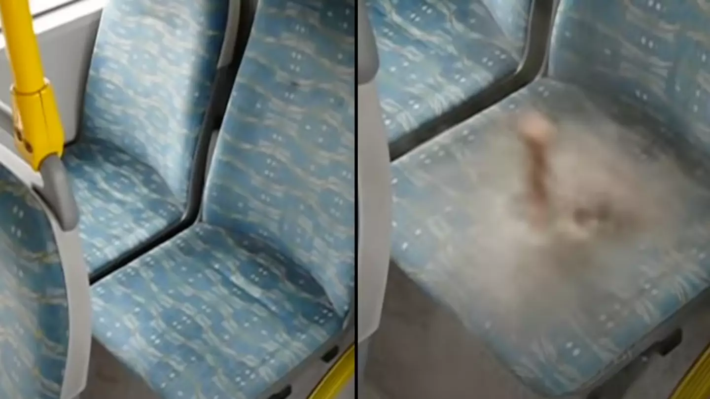 There's a genuine reason why bus seats are covered in crazy patterns