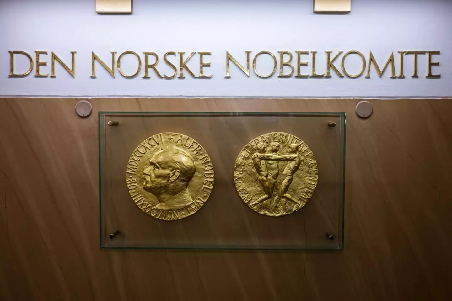 There were over 300 nominations for the Nobel Peace Prize this year (JONATHAN NACKSTRAND/AFP via Getty Images)