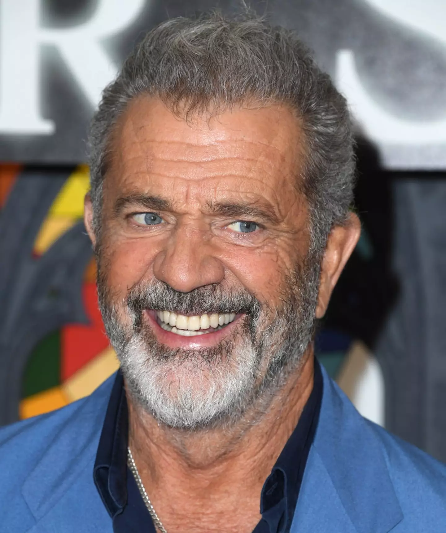 Mel Gibson voiced Rocky in the first Chicken Run film.
