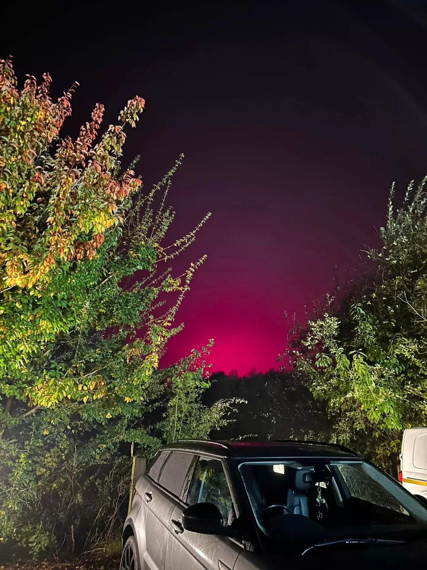 Dee's Northern Lights were too good to be true, however (Facebook/Dee Harrison)