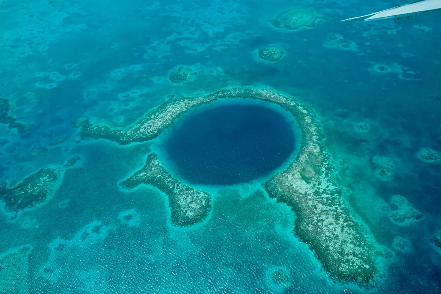 At the bottom of the hole divers found a whole load of rubbish, and two bodies.