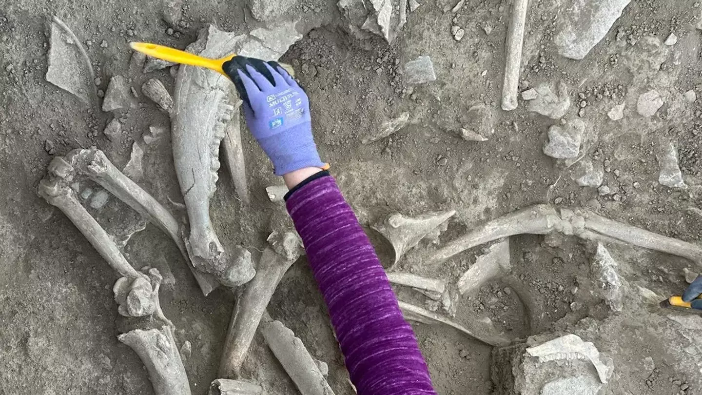 Archaeologists re-write history after discovering children's remains around ancient monument