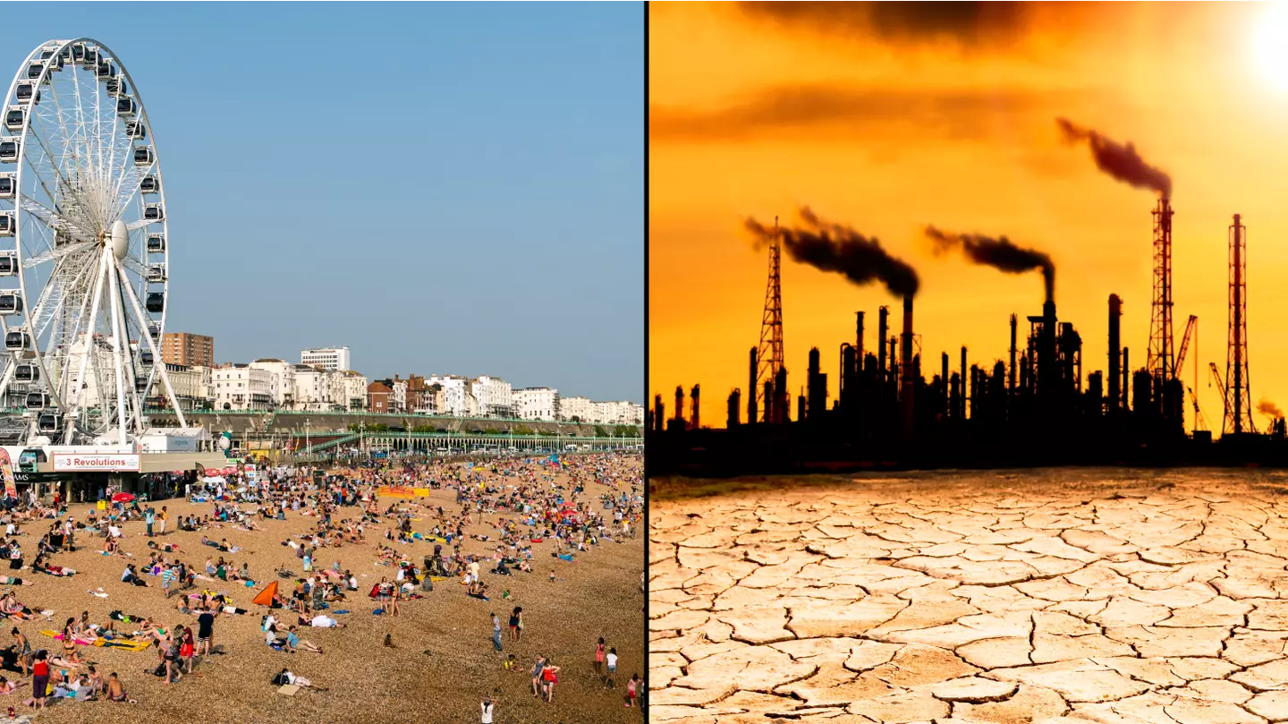 Climate expert has a grim warning amid UK's latest heatwave