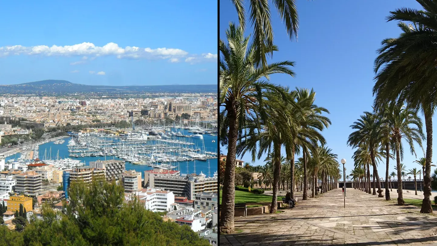 Brits travelling to Mallorca this summer warned of police crackdown on tourists