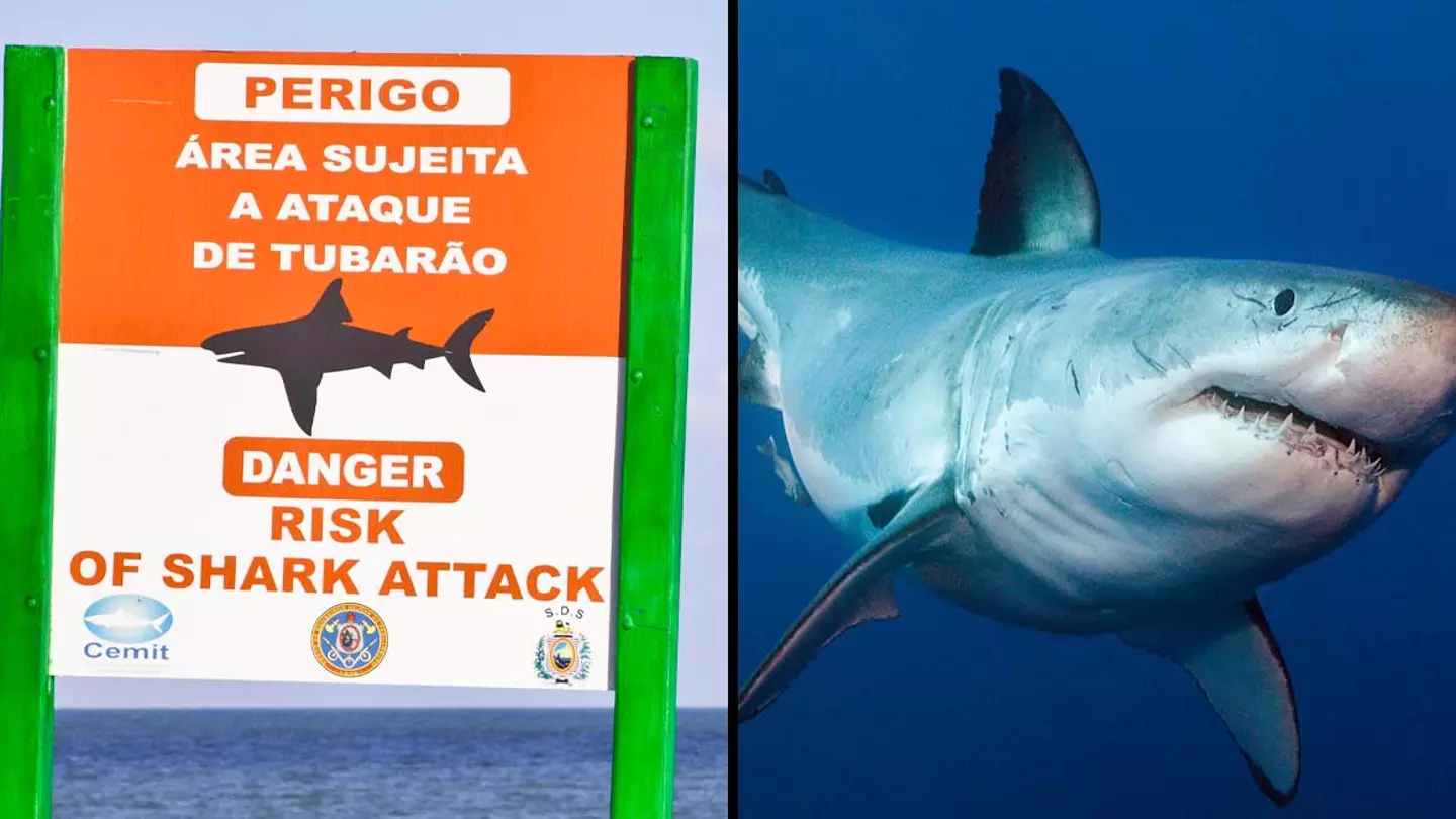 Second Person Killed By Shark Just Hours After Horrific Attack Left Woman Dead