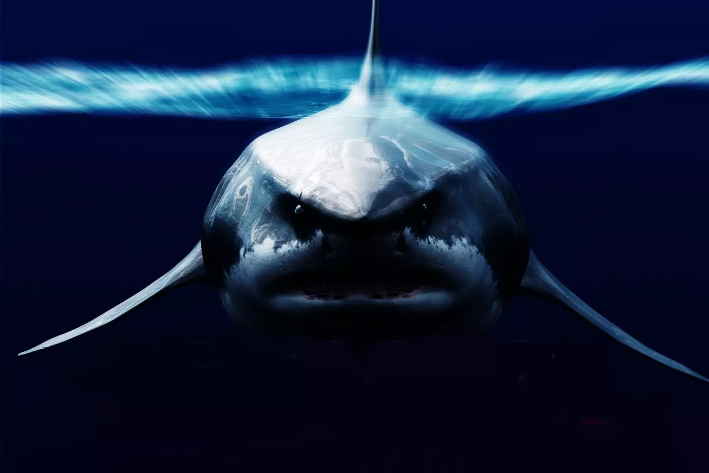 People fear it could still be out there. (Getty stock images)
