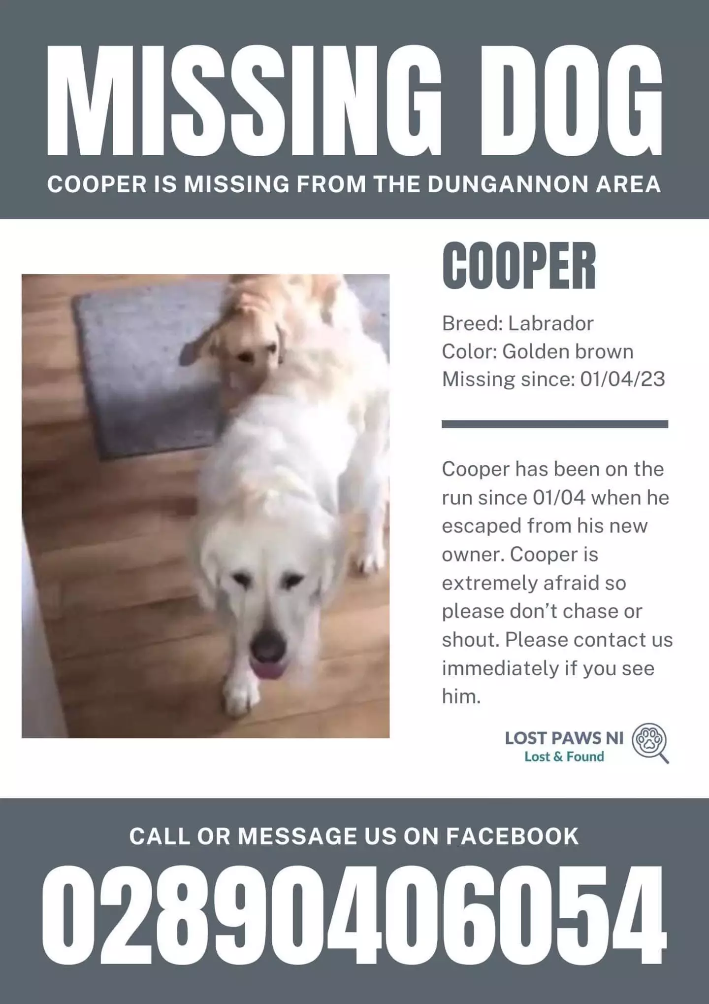 Cooper's missing poster.