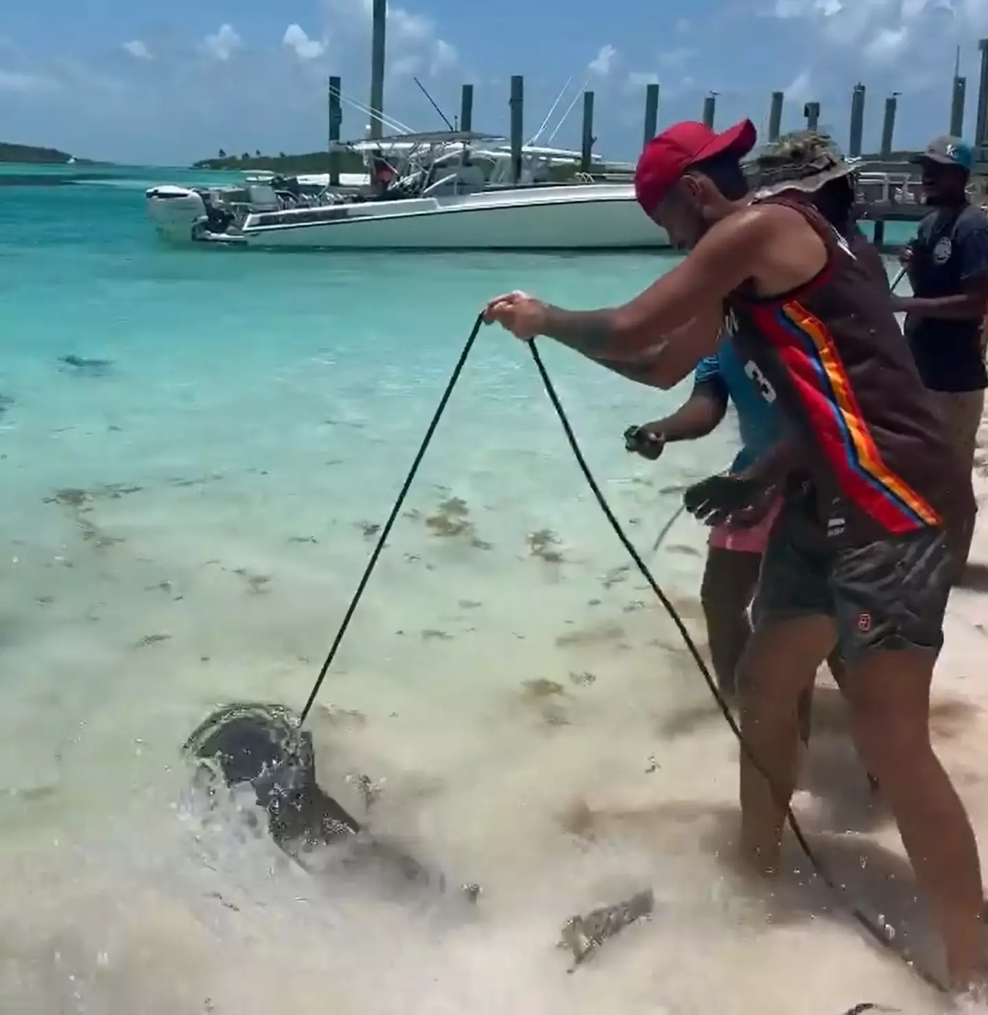 In the video Kyrgios pulls the shark towards the sea shore.