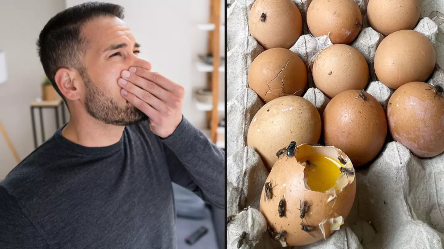 Urgent warning issued to people that experience dangerous 'rotten egg' smell in their house