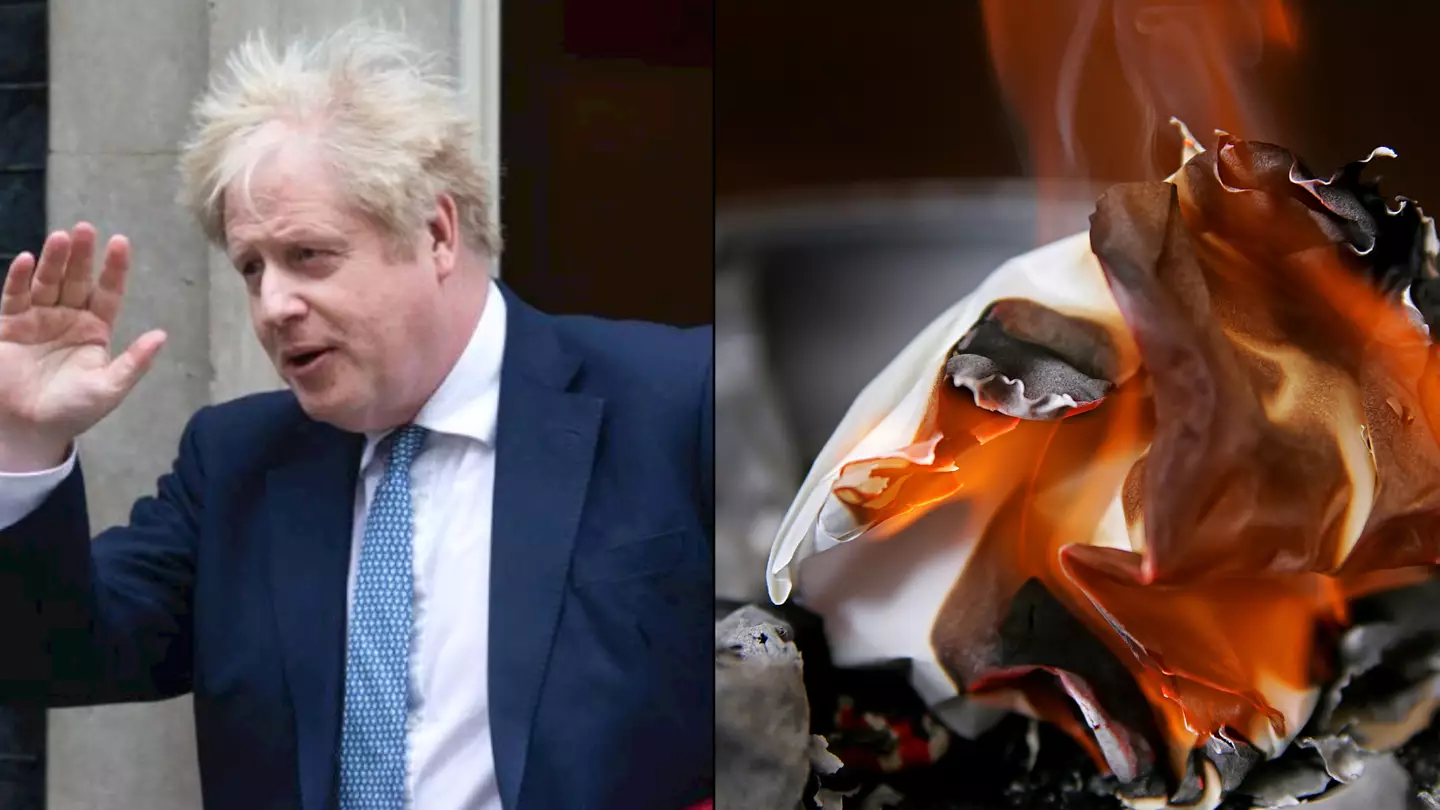 Matthew Antonino/Alamy ZUMA Press, Inc. / Alamy Stock Photo