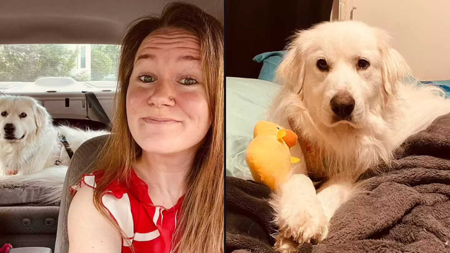 Woman sparks huge debate demanding kids be put on 'leash' after running up to her dog