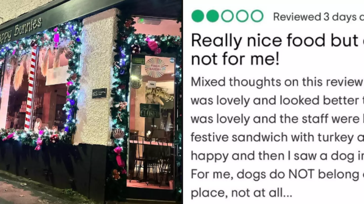 Coffee shop gives incredible response to customer who gave two star review for no dog policy