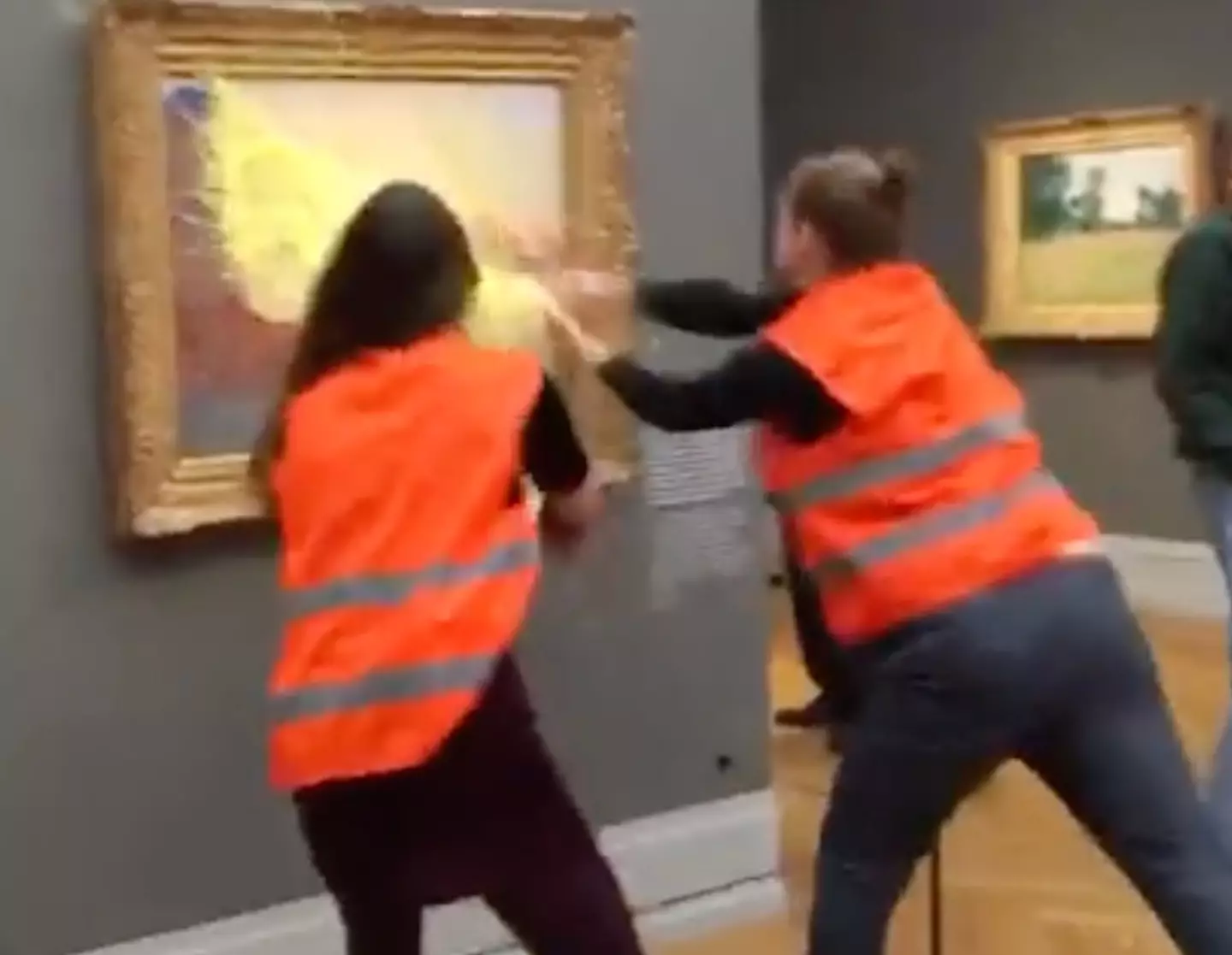 Climate change protesters hurled mashed potato at a Claude Monet painting.