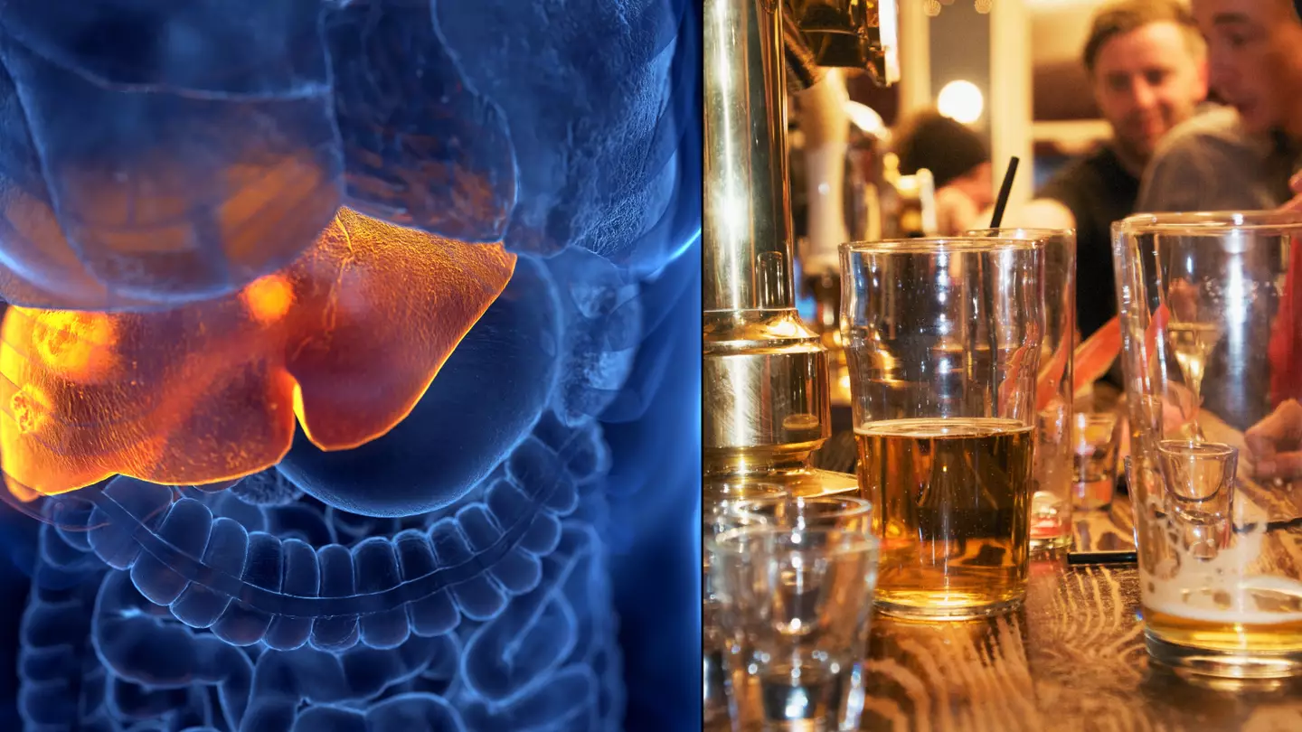 How quickly it takes liver to repair itself after quitting drinking