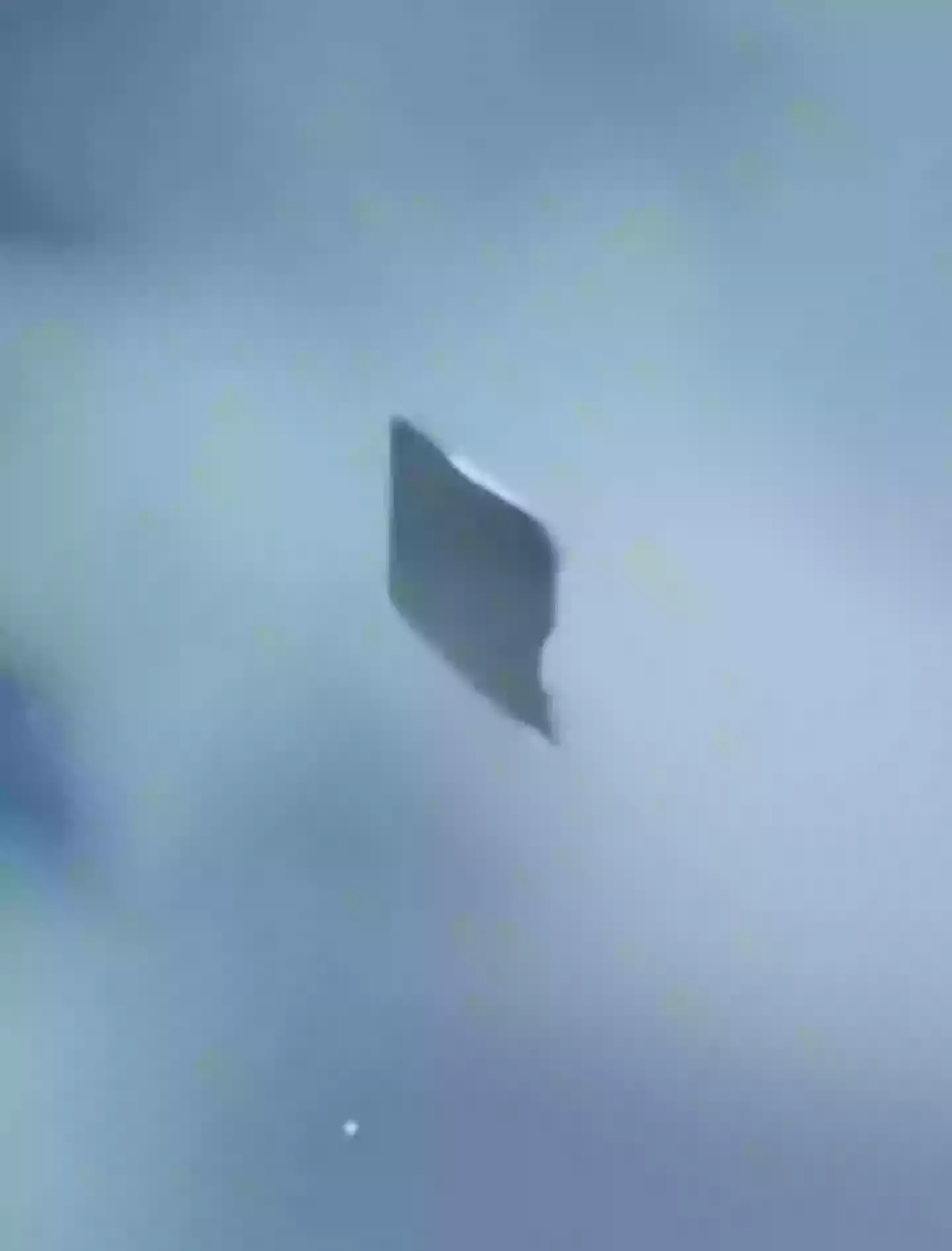 Rogan reckoned that the UFO looked like it was 'from another f***ing world' (X/Jorge Arteaga)