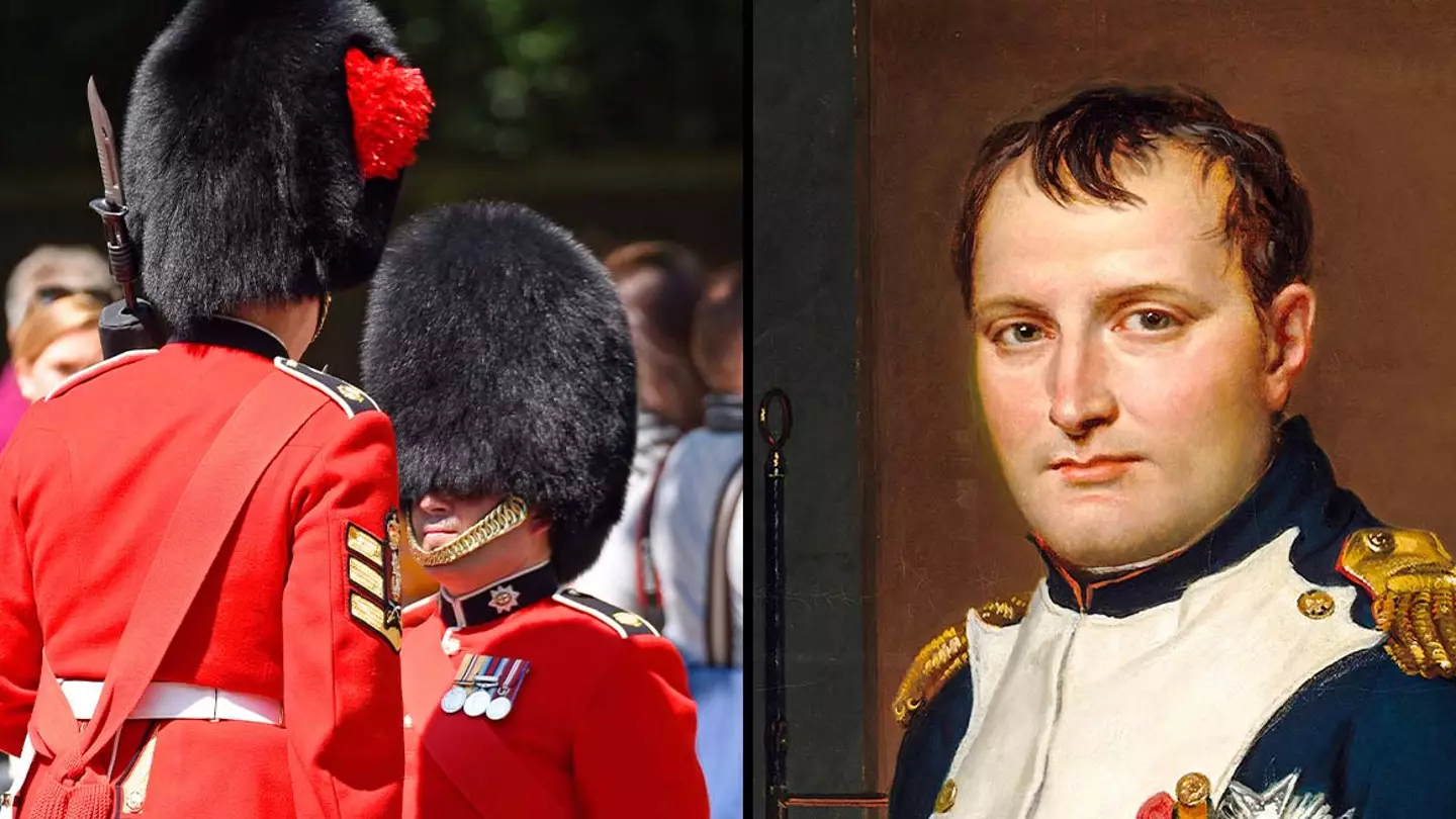 Avpics / incamerastock / Alamy Stock Photo