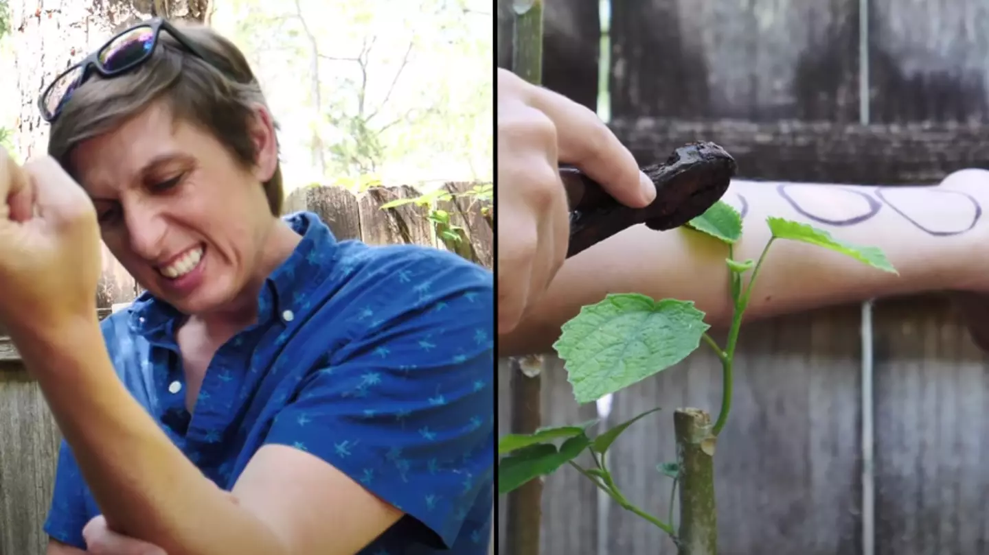 Man reveals how it feels to touch the world’s most dangerous plant that ‘can cause suicidal thoughts’