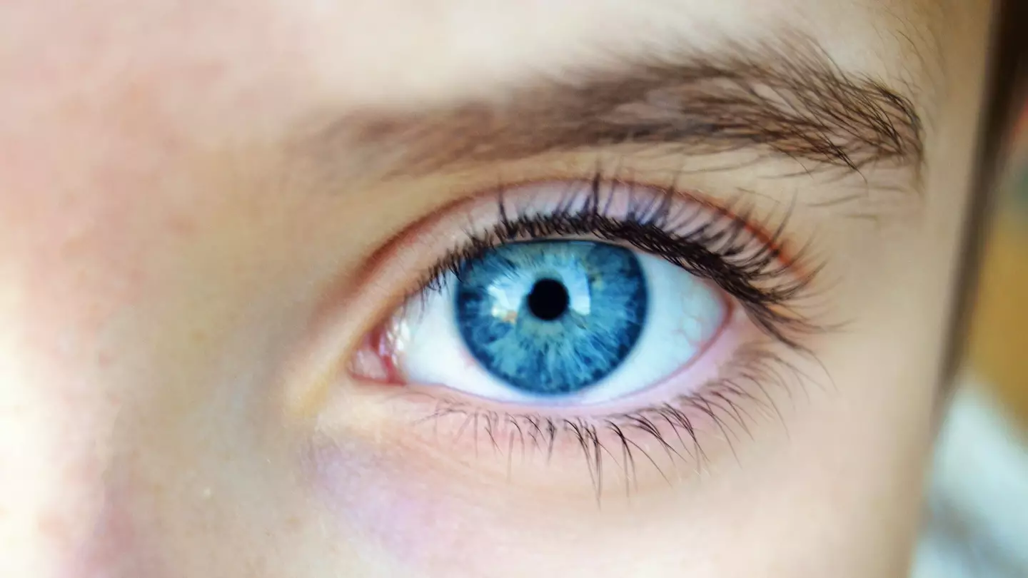 Study finds that every blue eyed person on Earth is a descendant of one single person