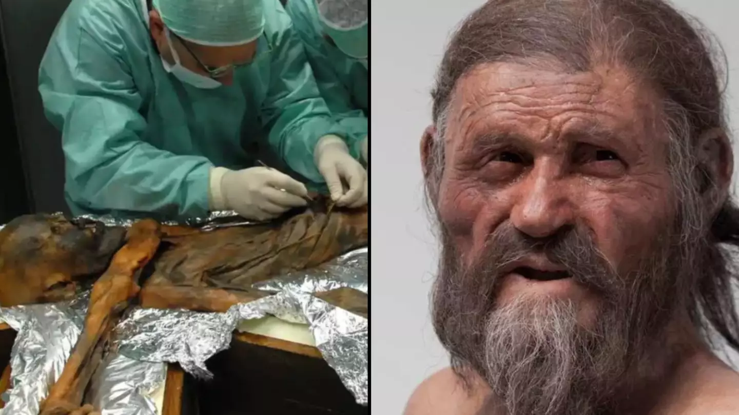 ‘Otzi the iceman’ had ‘horrible tasting’ meal before he was murdered 5,300 years ago