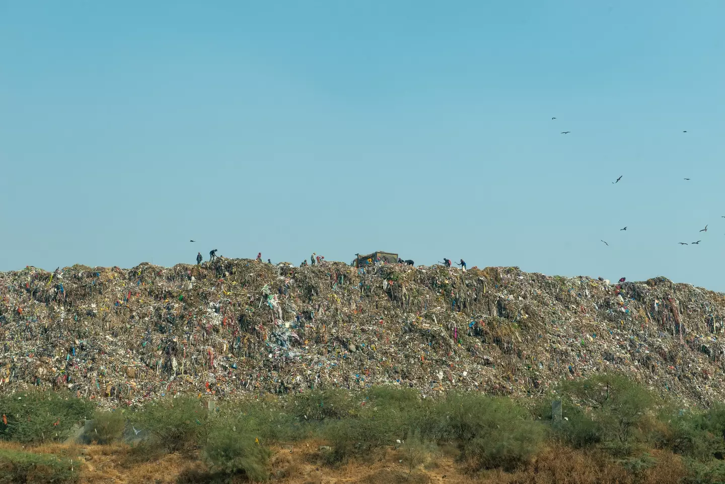 People known as 'ragpickers' looting the Ghazipur landfil for anything of value (Getty Stock Images)