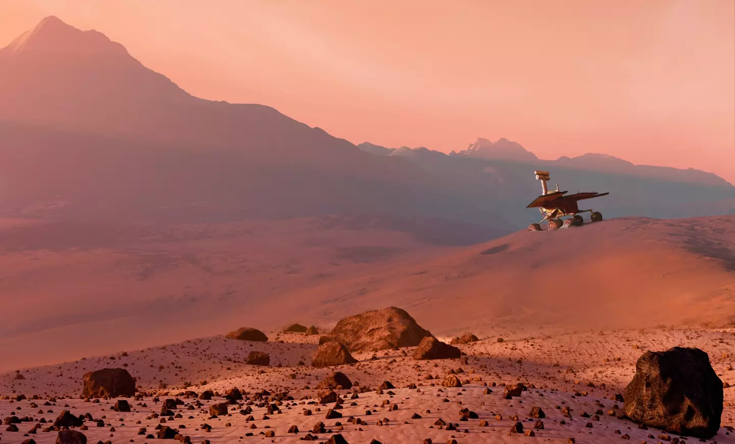 A new study found out details about how Yeast can survive on Mars (MARK GARLICK/SCIENCE PHOTO LIBRARY via Getty Images)