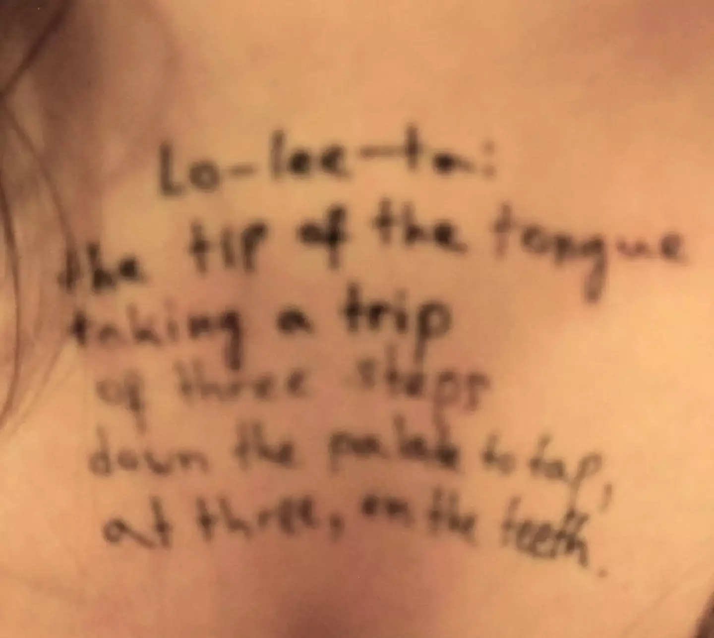 Epstein is believed have been a big fan of the disturbing book (Democrat Oversight Committee)