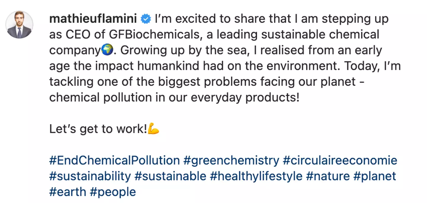 Flamini has recently 'stepped up' as CEO of the company.