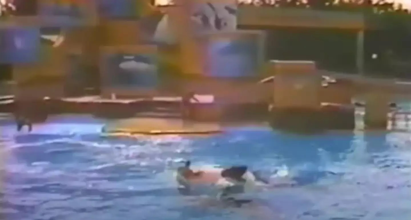 Jonathan Smith was similarly attacked by Kandu V.