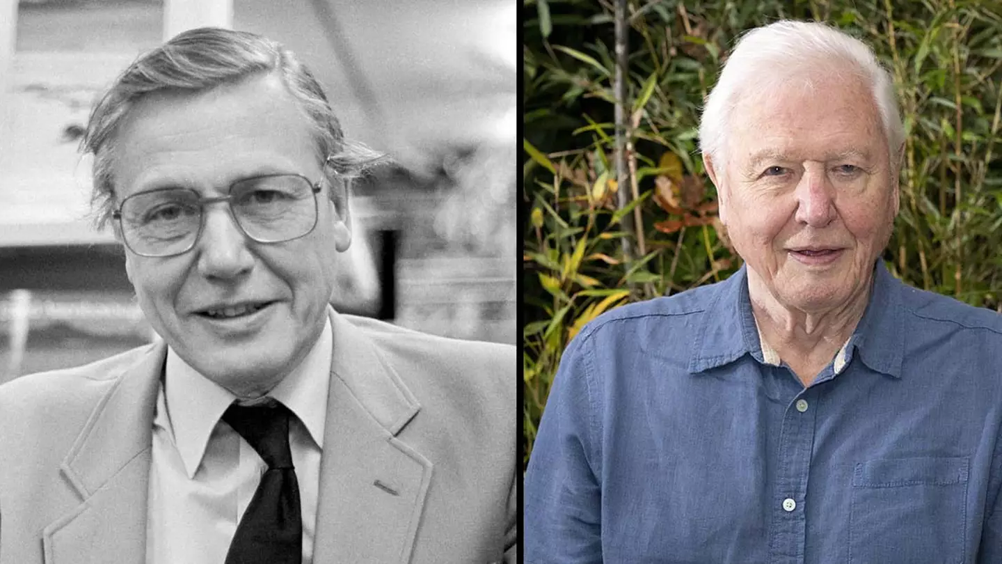 How David Attenborough Once Helped Solve A Murder