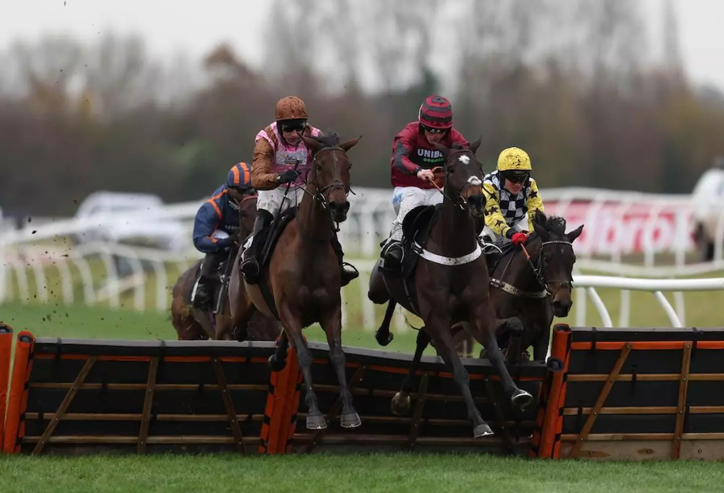 Elle Est Belle (left) at a race in 2021.