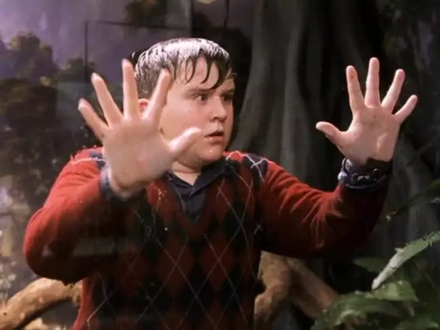 Harry Melling portrayed Harry Potter's bratty cousin Dudley Dursley.