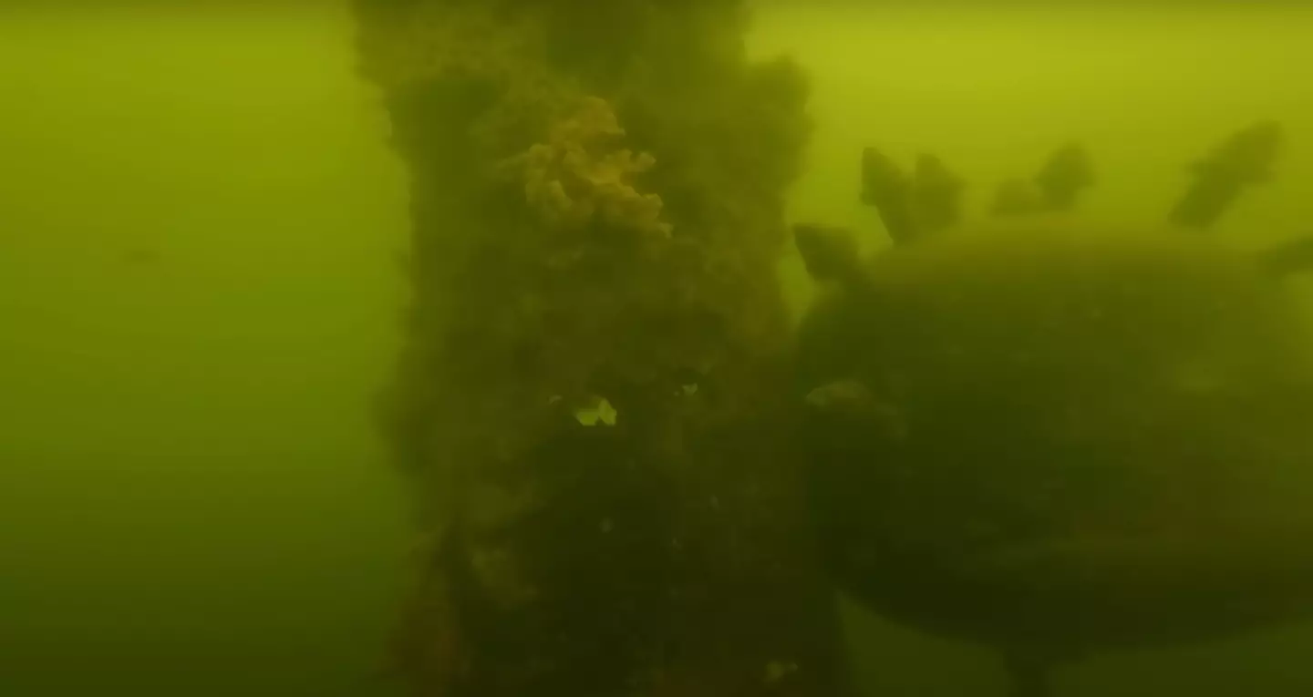Some suggested that it was a sea mine (YouTube/Dusty Sands)