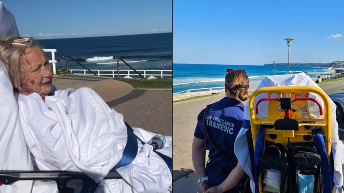 Great grandmother dies just hours after she was granted her final wish to see the ocean
