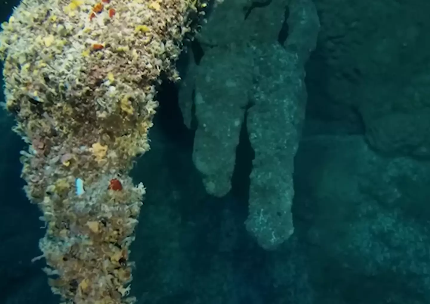 The presence of stalactites showed that the Great Blue Hole had once not been underwater. (YouTube/Insider Science)
