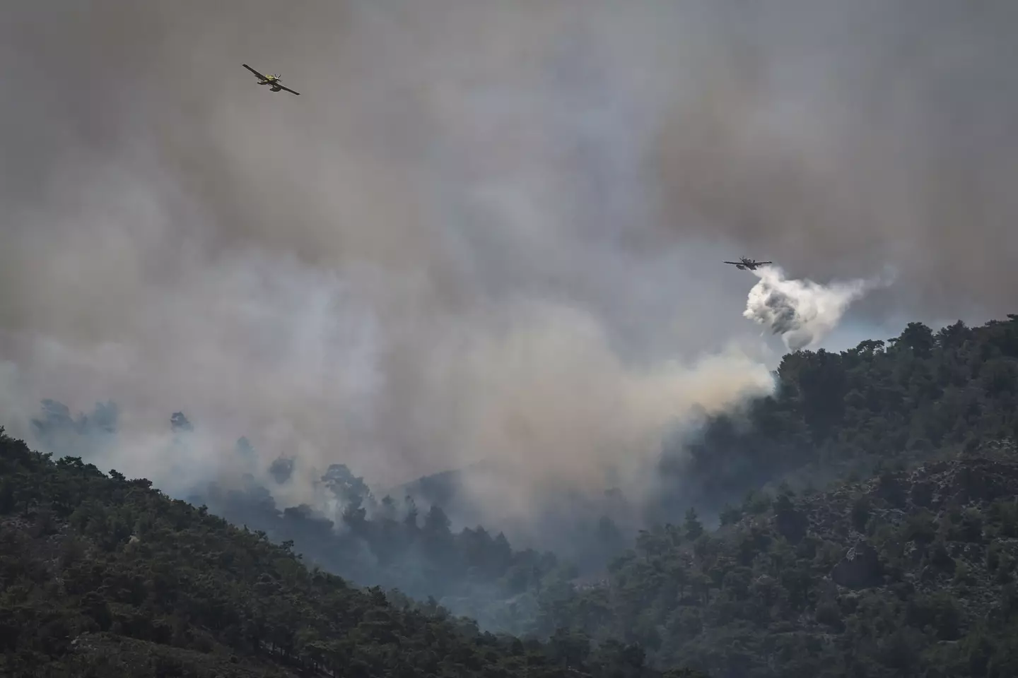 Planes are being used to try and get the fires under control.