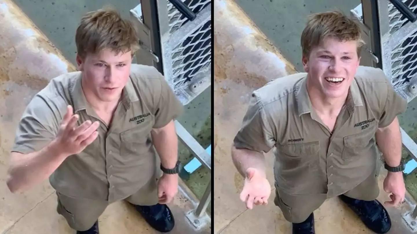 Incredible Moment Bold Tourist Asks Robert Irwin For His Number At Zoo