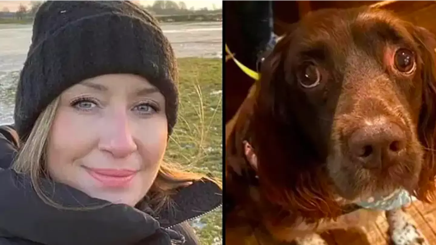 Parents of woman who vanished on footpath say police 'don't think she was taken'