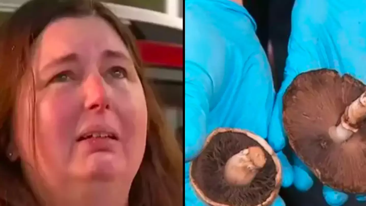 Woman charged with murder over poisonous mushroom lunch that killed three