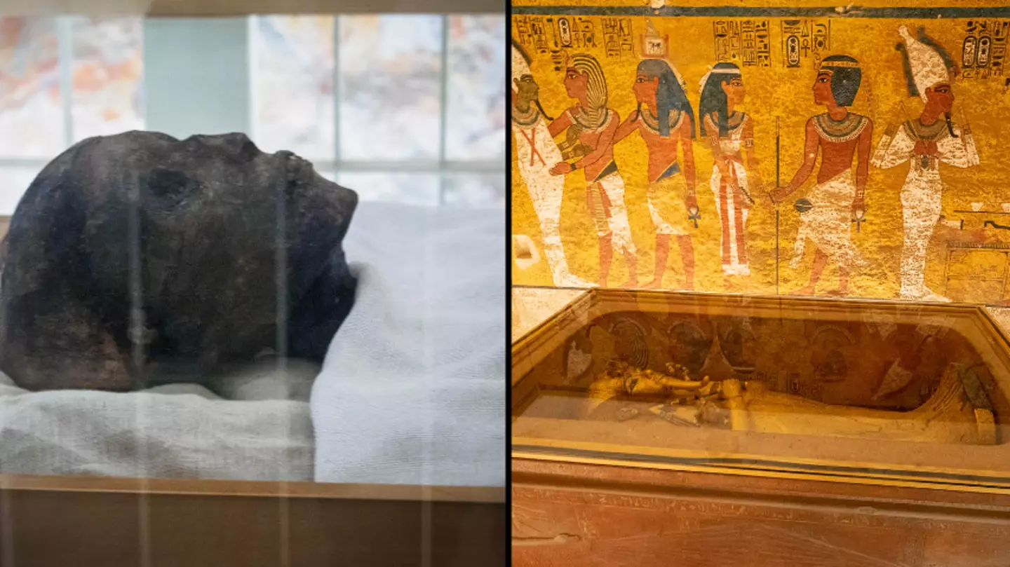 Scientists may finally know cause of ‘curse’ that killed 20 people who opened Tutankhamun’s tomb
